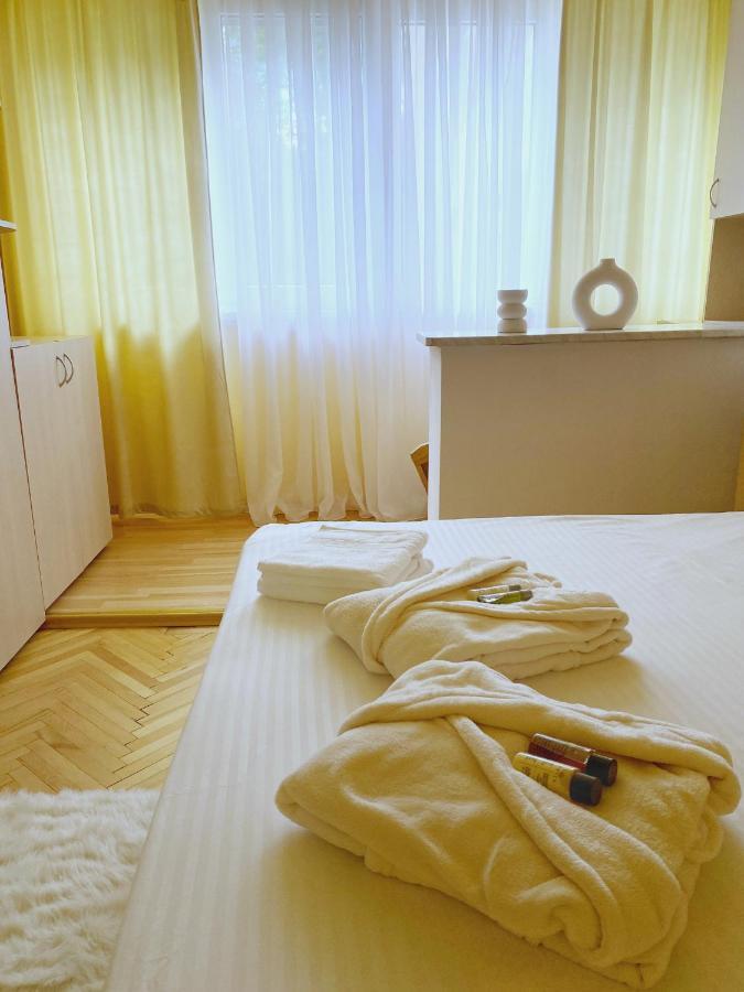 Timisoara Central Apartament Apartment Bagian luar foto