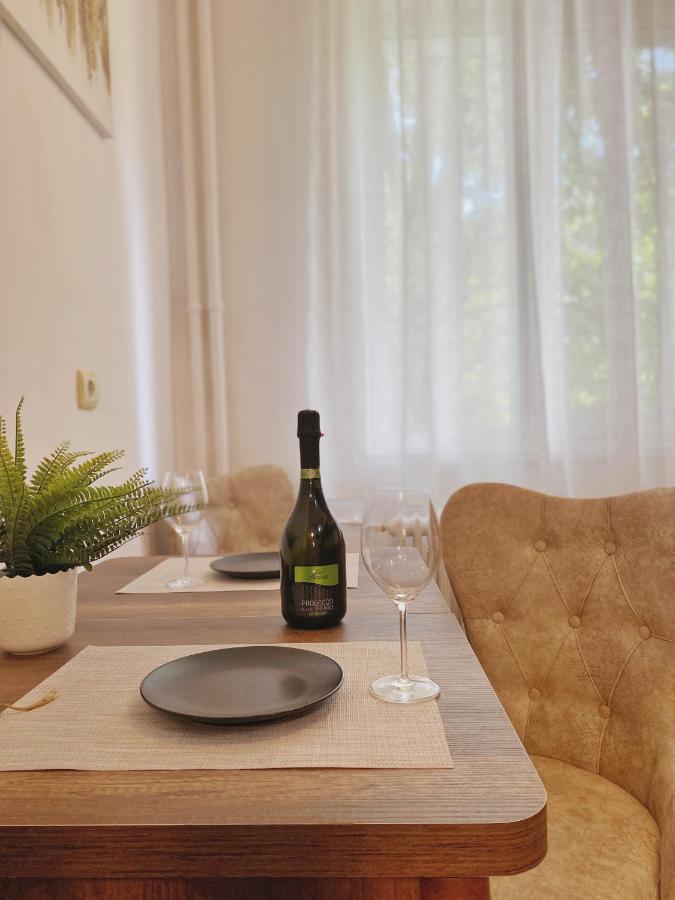 Timisoara Central Apartament Apartment Bagian luar foto