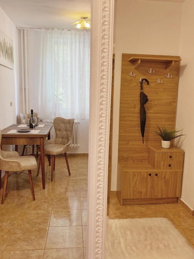 Timisoara Central Apartament Apartment Bagian luar foto
