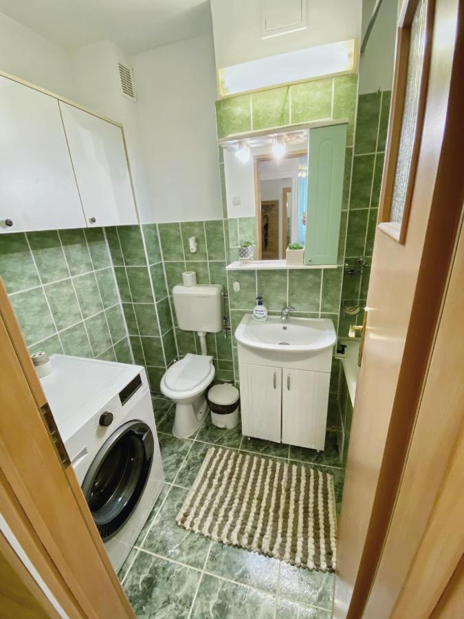 Timisoara Central Apartament Apartment Bagian luar foto