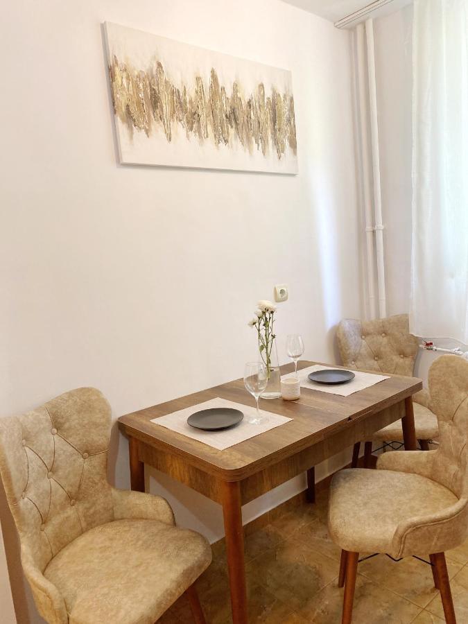 Timisoara Central Apartament Apartment Bagian luar foto