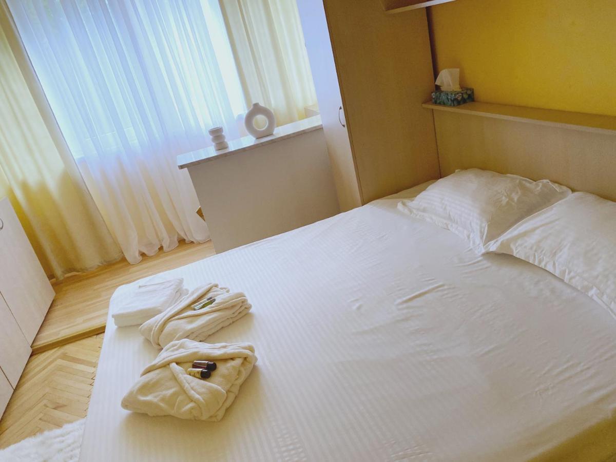 Timisoara Central Apartament Apartment Bagian luar foto